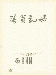 荡翁乱妇