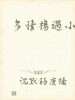 多情杨过小说封面