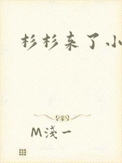 杉杉来了小说封面