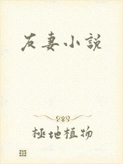 友妻小说