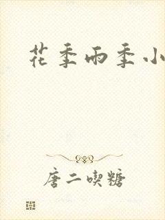 花季雨季小说