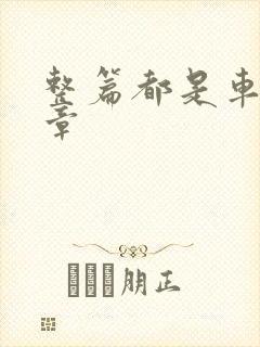 整篇都是车的文章