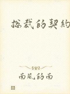 总裁的契约妻