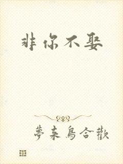 非你不娶