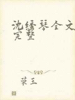沈绣琴全文阅读完整封面