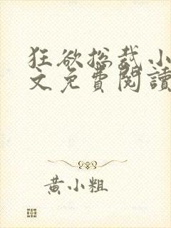 狂欲总裁小说全文免费阅读封面