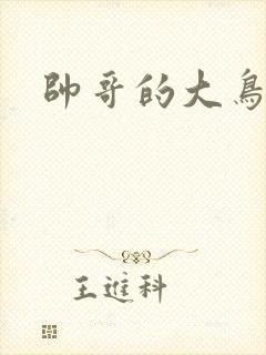 帅哥的大鸟