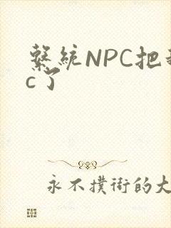 系统NPC把我c了