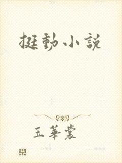 挺动小说