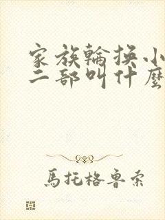 家族轮换小说第二部叫什么名字