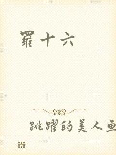 罗十六