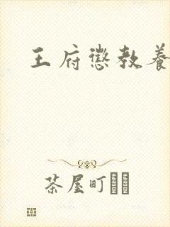 王府惩教养日常