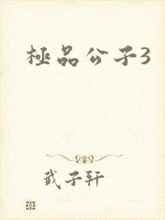 极品公子3
