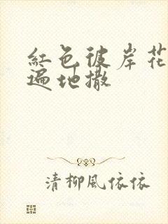 红色彼岸花花瓣遍地撒