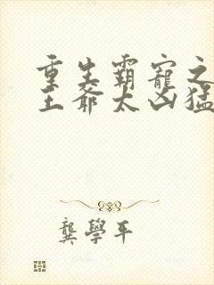 重生霸宠之摄政王爷太凶猛