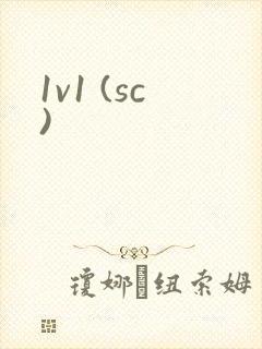 1v1 (sc)