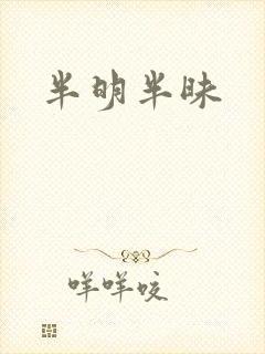 半明半昧封面
