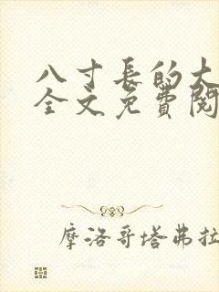 八寸长的大宝贝全文免费阅读