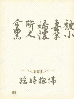 会所娇妻被多个黑人怀孕小说封面