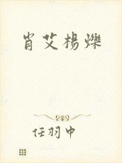肖艾杨烁封面
