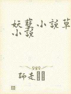 妖孽小说草莓酱小说封面
