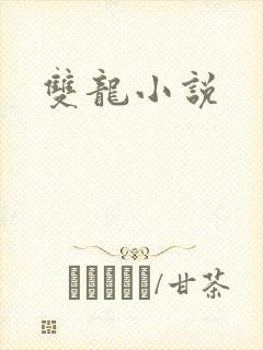 双龙小说