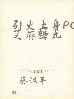 引火上身POP芝麻糖丸封面