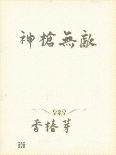 神枪无敌封面