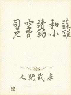 司空靖和苏月汐免费的小说笔趣阁封面