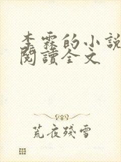 李霖的小说免费阅读全文