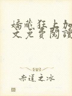 娇藏狂上加狂全文免费阅读笔趣阁