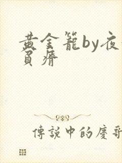 黄金笼by夜很贫瘠封面