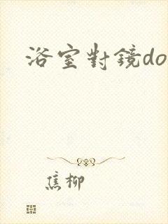 浴室对镜doi