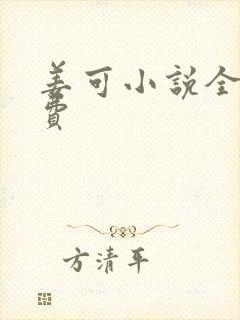 姜可小说全文免费封面
