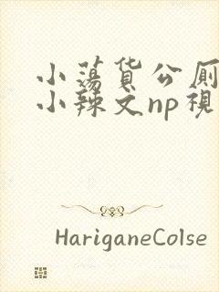 小荡货公厕h文小辣文np视频