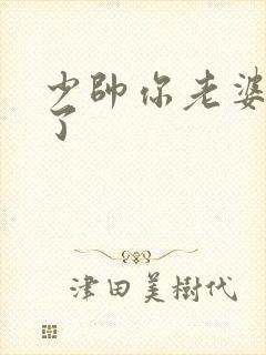 少帅你老婆又跑了