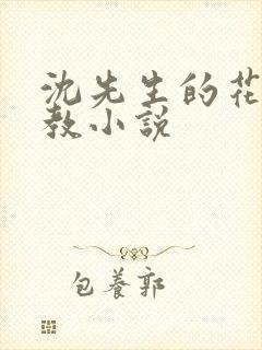 沈先生的花式调教小说封面