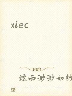 xiec封面