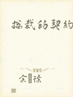 总裁的契约情人封面