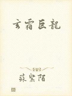 玄霜巨龙封面