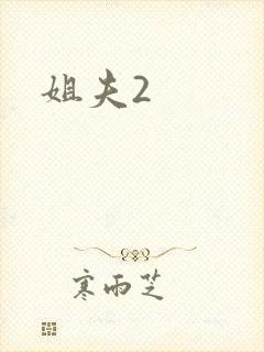 姐夫2封面