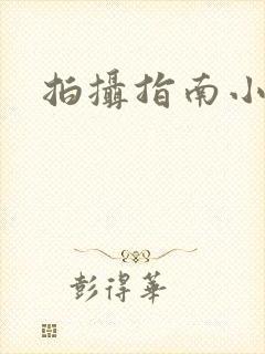 拍摄指南小说