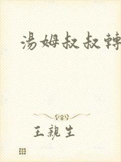 汤姆叔叔转接口