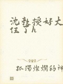 沈教授好大含不住了h