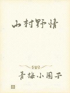 山村野情封面