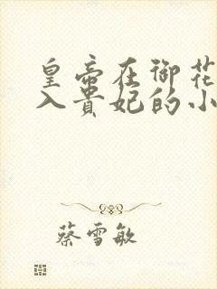 皇帝在御花园进入贵妃的小说