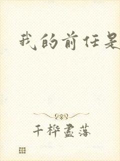 我的前任是极品