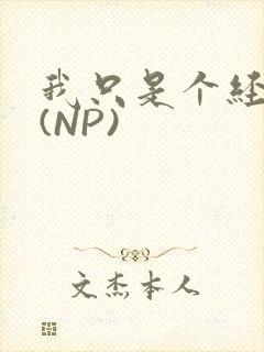 我只是个经纪人(NP)