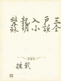 双龙入户三人行苏玥小说全文阅读