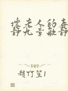 坏老人的春天敏静九章敏静封面